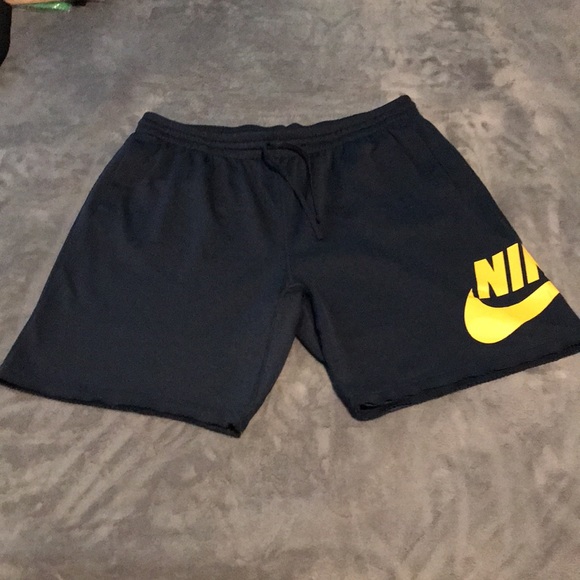 Nike SB Dri Fit Shorts - Picture 2 of 10